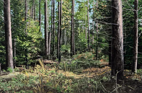 Il y a un chemin quelque part